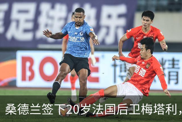 桑德兰签下20岁法国后卫梅塔利，身披6号战袍