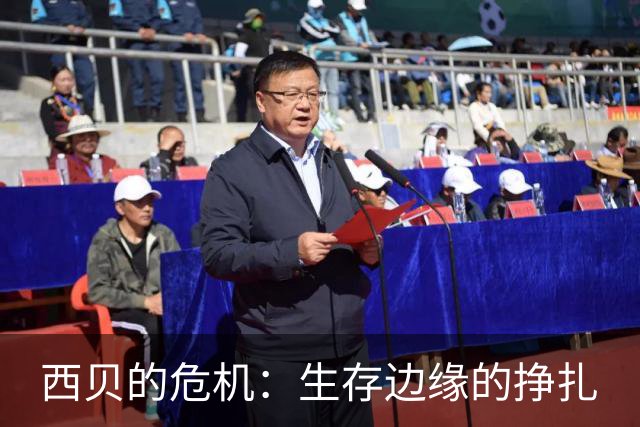 西贝的危机：生存边缘的挣扎